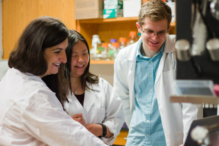 Students in the lab.